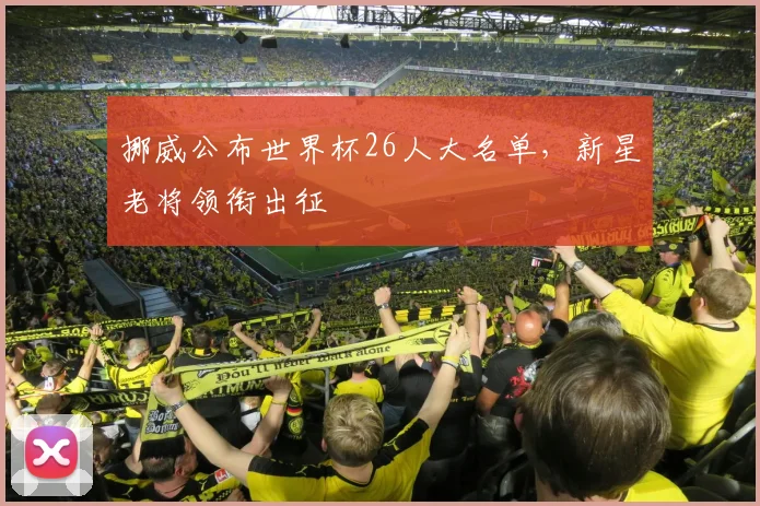 挪威公布世界杯26人大名单，新星老将领衔出征
