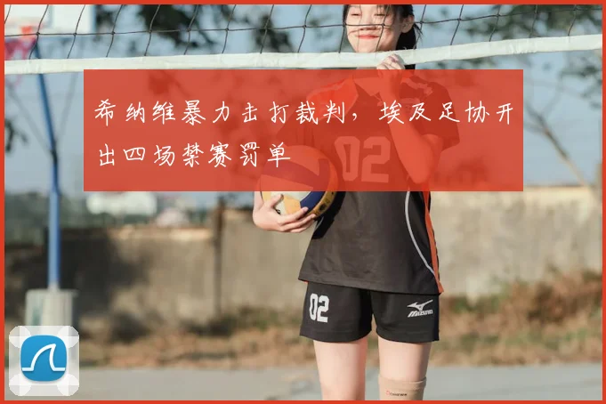 希纳维暴力击打裁判，埃及足协开出四场禁赛罚单