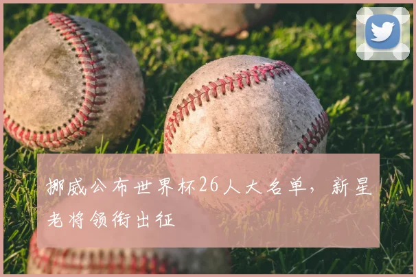 挪威公布世界杯26人大名单，新星老将领衔出征