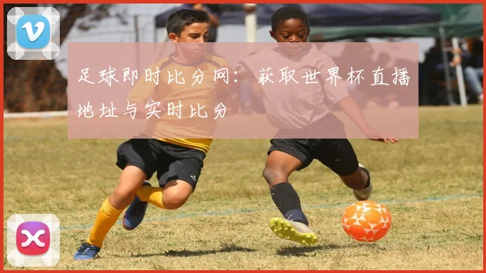 足球即时比分网：获取世界杯直播地址与实时比分