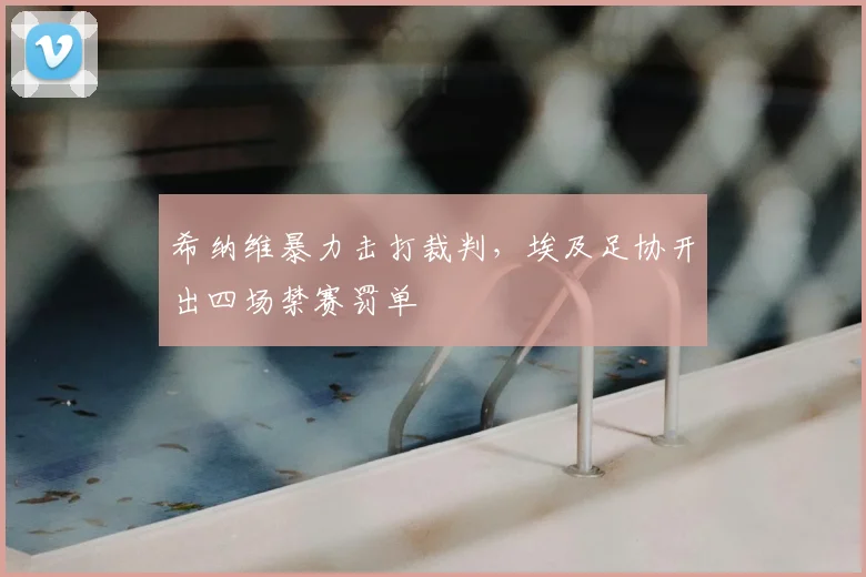希纳维暴力击打裁判，埃及足协开出四场禁赛罚单